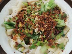 牛肉油泼扯面-马振面(小皮院店)