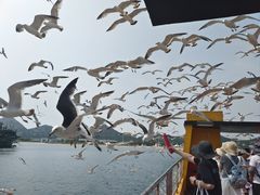 -海驴岛(荣成市)