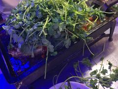 -炉鱼(爱琴海购物公园店)