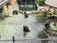 -深圳野生动物园