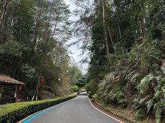 -冠豸山景区