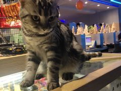-约网咖(西塔店)