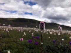 -比如骷髅墙景区