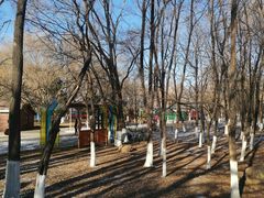 -长白岛森林公园