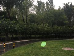 -河北省园博园