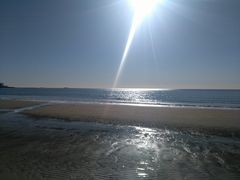 -海滨浴场