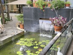 -蘇河湾·新鲁菜·泰山宴(泰山店)