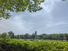 -宜兴龙背山森林公园