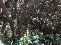 -宝岩生态观光园