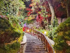 -宜春明月山维景国际温泉度假酒店