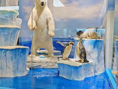 -国家自然博物馆