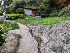 -铁山坪森林公园