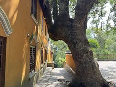-普陀山风景名胜区-法雨禅寺