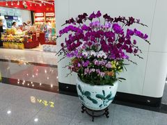-福州长乐国际机场
