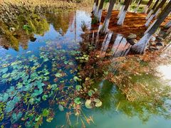 -白塘生态植物园