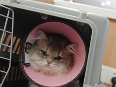 -联合动物医院(光谷诊疗中心)