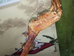 孜然味烤牛蛙-型男美蛙烤牛蛙(南长街店)