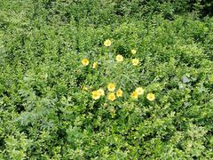 -镇江市南山风景名胜区竹林景区