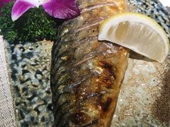 盐烤青花鱼-熊串烧亭.居酒屋(珠江路店)