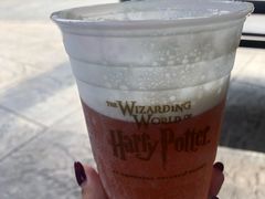 -奥兰多环球影城