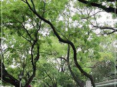 -北京国子监胡同
