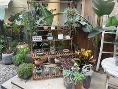 -云里小坐·小院里·团建·宴请·下午茶(三圣乡店)