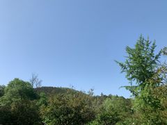 -冶父山国家森林公园
