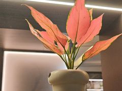 -恒记饭店(珠江路总店)