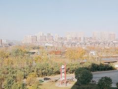 -前关湿地公园