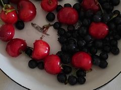 -金谷域澳洲庄园