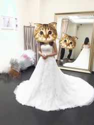 -MuseMarry婚纱(前海嘉里中心店)