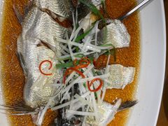 -丹江渔村(望京店)