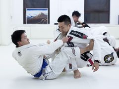 -菠萝格斗巴西柔术训练馆