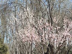 -仁和公园(顺义区)
