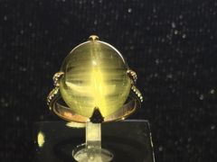 -湖南省地质博物馆