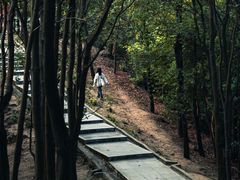 -火炉山森林公园