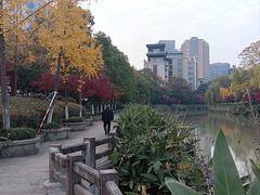 -运河游船(武林门码头)