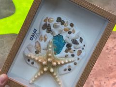 -沈阳海洋探索中心