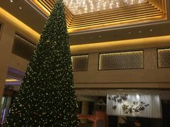 -成都保利公园皇冠假日酒店(熊猫基地店)