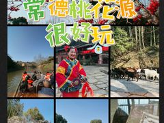 -常德桃花源景区