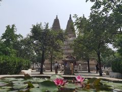 -北京石刻艺术博物馆(五塔寺)