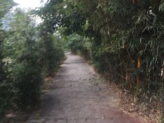 -靖西鹅泉风景区