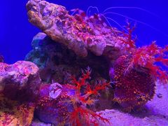 -上海海洋水族馆