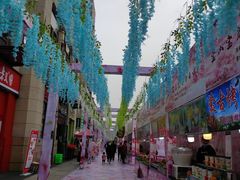 -韵秋荷(宝山龙湖天街店)