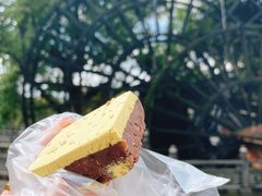 -蔺大妈松花糕