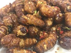 -南庄酒家·海鲜粤菜·25年老字号(环城南路店)