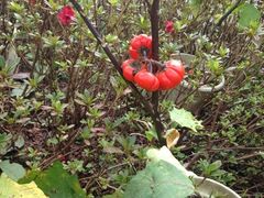 iphone_upload_pic-花溪王记牛肉粉(四季花溪商场店)