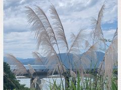 -黄山太平湖风景区