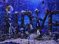 -太平洋海底世界