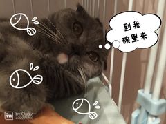 -Oh My Dog宠物沙龙(伊珊娜皮毛护理店)